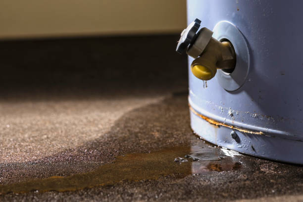 Best Flood damage cleanup  in Corona De Tucson, AZ