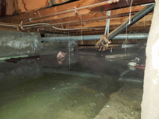 Reliable AZ Water damage restoration Solutions