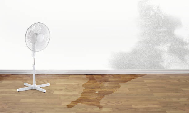 Best Emergency water damage restoration  in Corona De Tucson, AZ