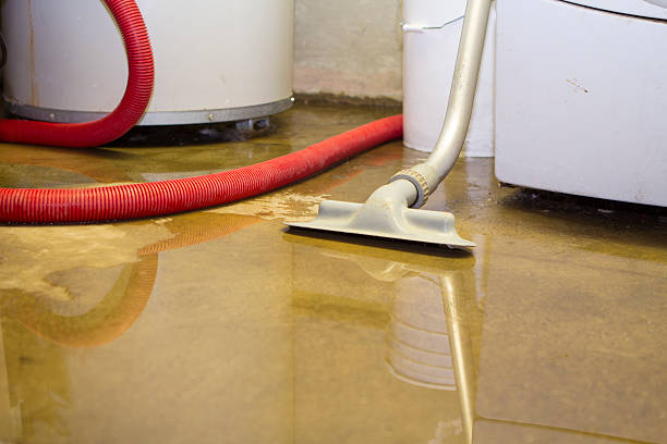 Best Carpet water damage restoration  in Corona De Tucson, AZ