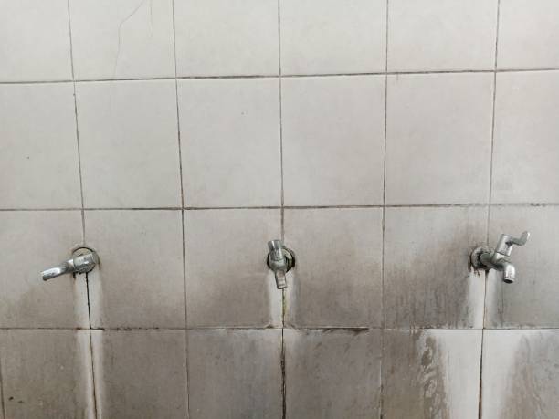 Best 24-hour water damage restoration  in Corona De Tucson, AZ