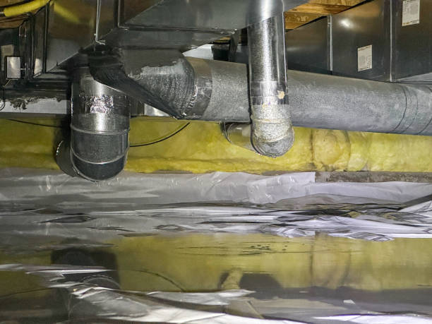 Best Ceiling water damage repair  in Corona De Tucson, AZ