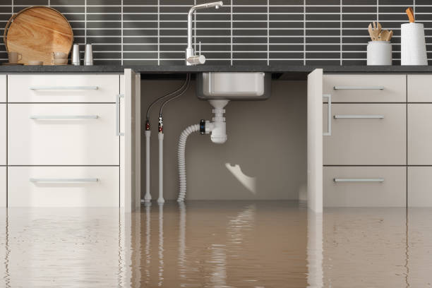 Best Professional water damage repair  in Corona De Tucson, AZ