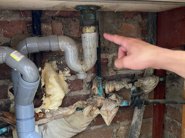 Best Mold removal after water damage  in Corona De Tucson, AZ