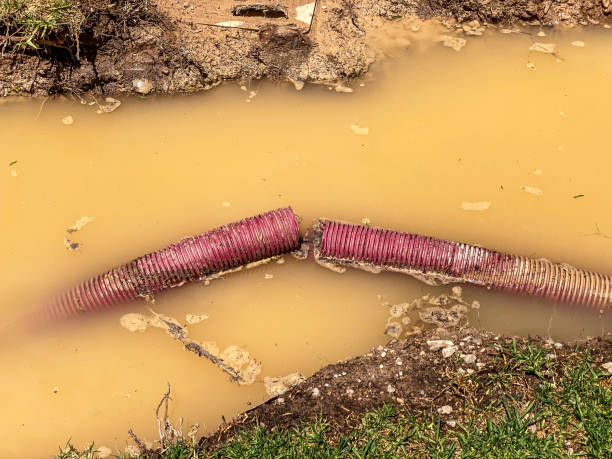 Best Water damage restoration near me  in Corona De Tucson, AZ