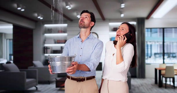 Best Flooded house restoration  in Corona De Tucson, AZ